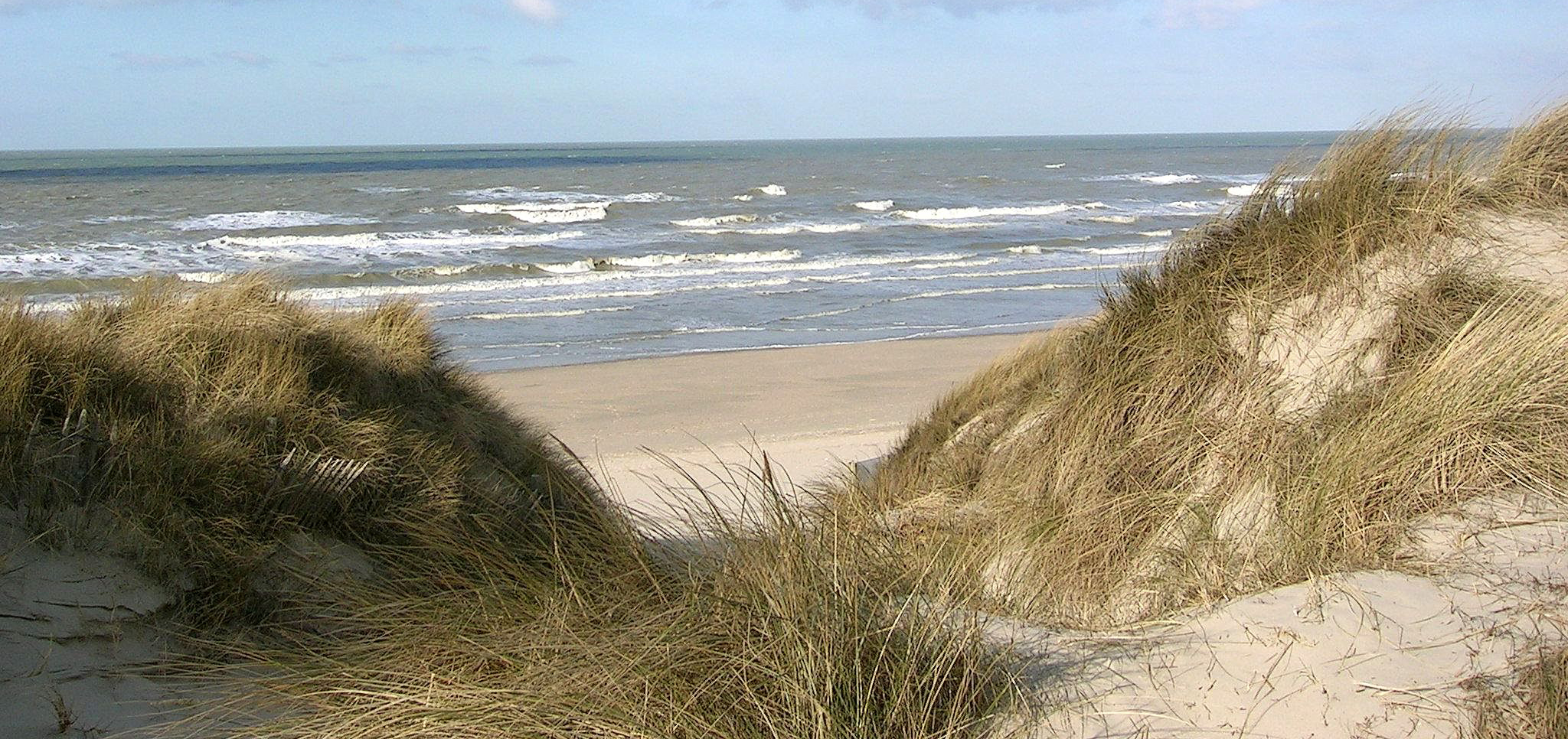 dune menu bray dunes bray dunes dune menu bray dunes bray dunes